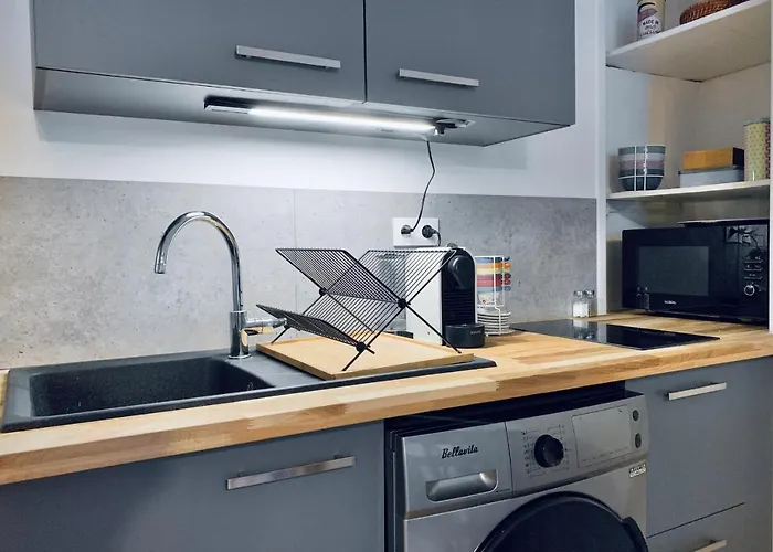 Apartment #cl Le Majordome Center Renovated Grenoble